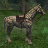erdross
